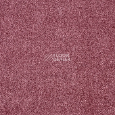 Ковролин AW Seduction 67 фото 1 | FLOORDEALER